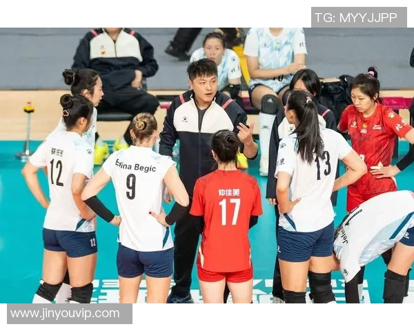 12月22日北京对辽宁精彩比赛回放录像分析与精彩瞬间回顾